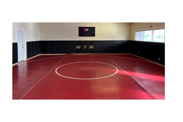 Gym & Home Wall Padding