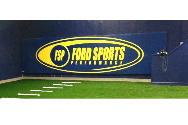 Gym & Home Wall Padding